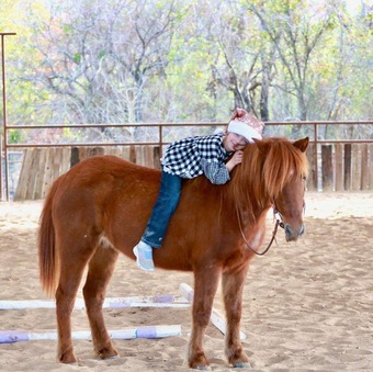 "Lupe" Sorrel Mare Pony