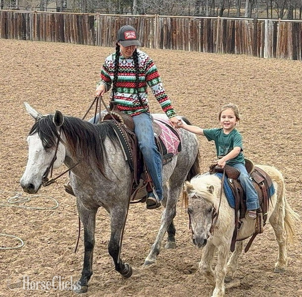 Texas "Steely" Grey Mare Quarter Pony