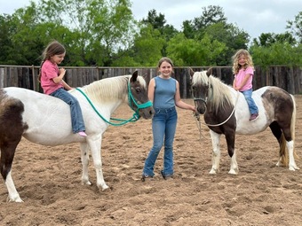 "Millie and May" Chocolate Mare Pony