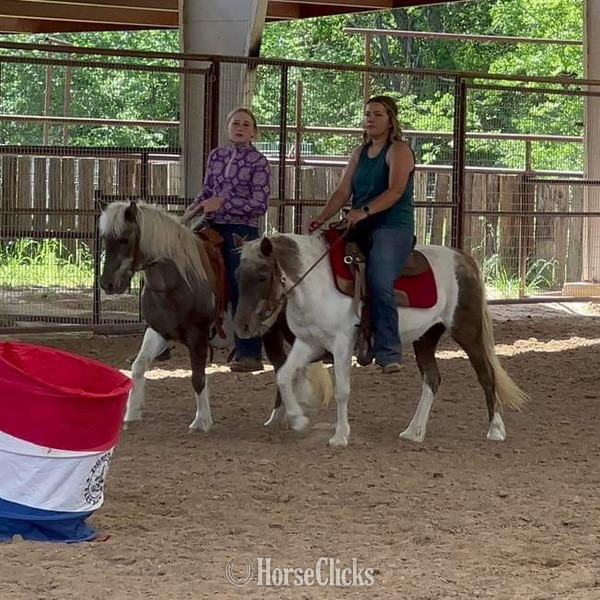 "Millie and May" Chocolate Mare Pony - Pony in Texas
