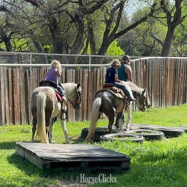 "Millie and May" Chocolate Mare Pony - Pony