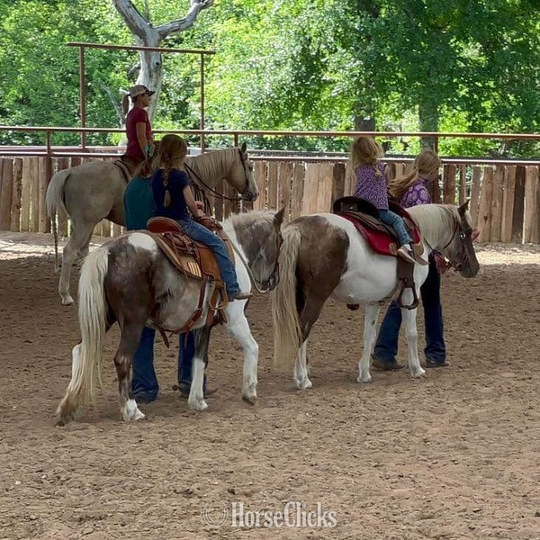 "Millie and May" Chocolate Mare Pony Texas