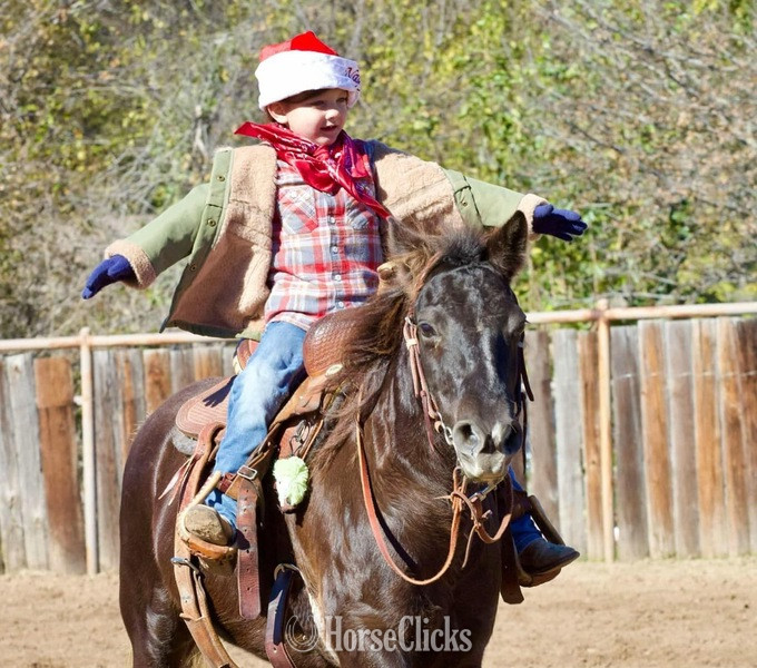 Texas "Trixie" Black Mare Pony