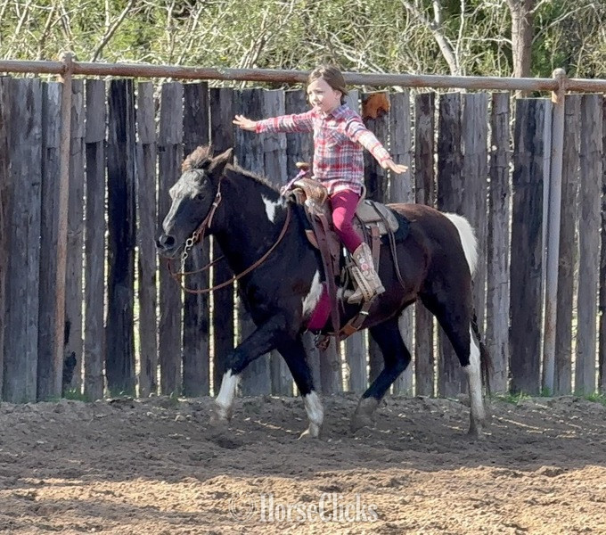 "Trixie" Black Mare Pony - Pony