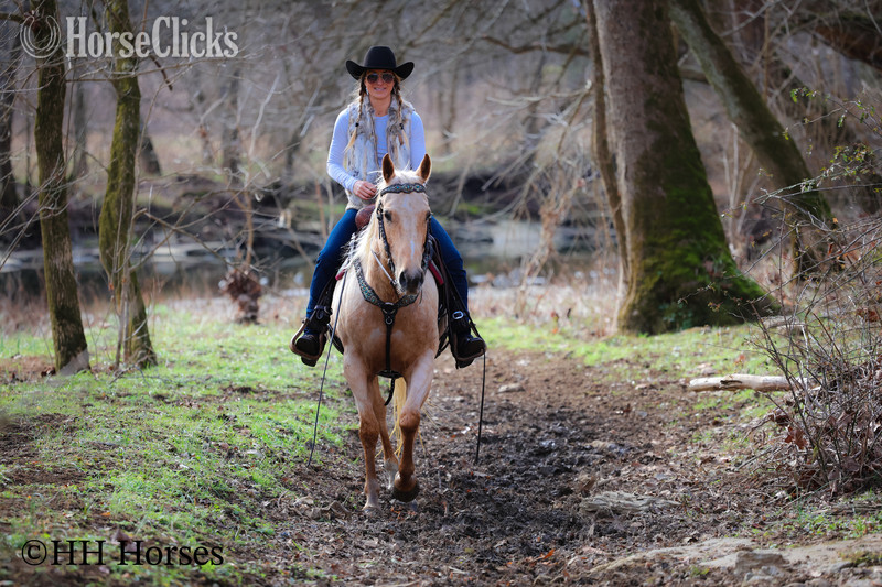 "CC LITTLE LADY" Palomino Mare Quarter Horse