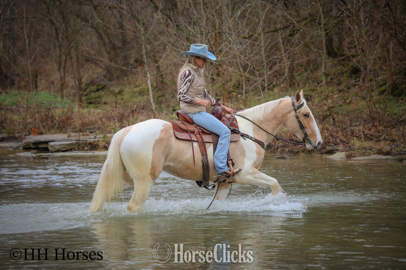 "PEACHES AND CREAM " Palomino Gelding Paint in Kentucky