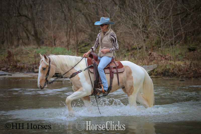 "PEACHES AND CREAM " Palomino Gelding Paint