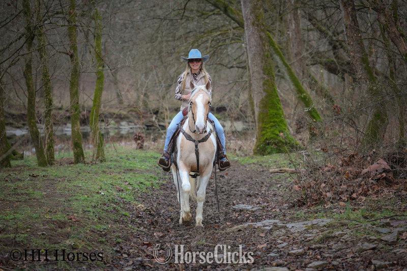"PEACHES AND CREAM " Palomino Gelding Paint - Paint in Kentucky