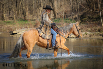 "POCO ROSE LENA" Palomino Mare Quarter Horse