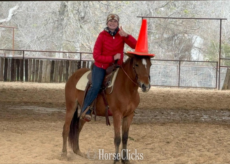Texas "April" Bay Mare Pony