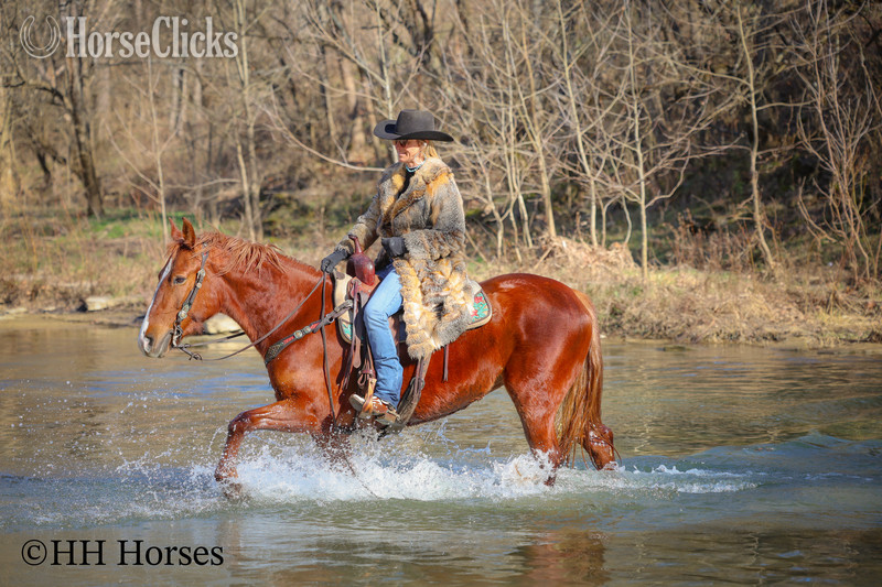 Quarter Horse - "RAGGEDY ANNE" Sorrel Mare Quarter Horse