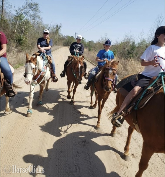 Georgia "Doc Holiday" Sorrel Gelding Paso Fino
