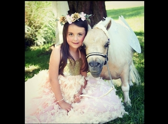 "Helpful Hints" Mare American Miniature