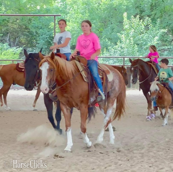 Texas "Zora" Red Roan Mare Quarter Horse