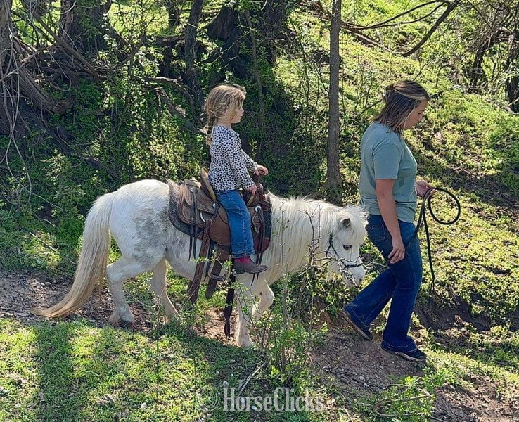 Pony - "Frost" White Mare Pony