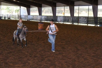 "Jelly Beans" Bay Roan Gelding Pony