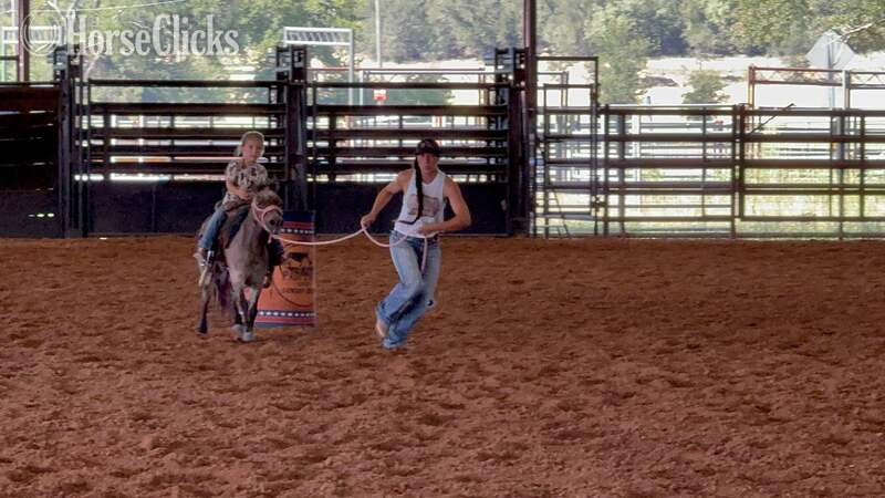 Texas "Jelly Beans" Bay Roan Gelding Pony