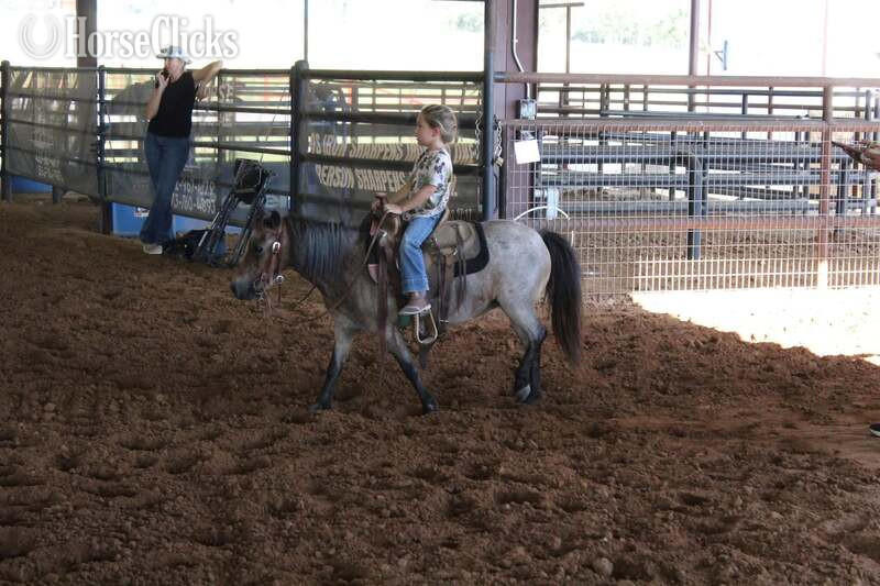 "Jelly Beans" Bay Roan Gelding Pony - Pony