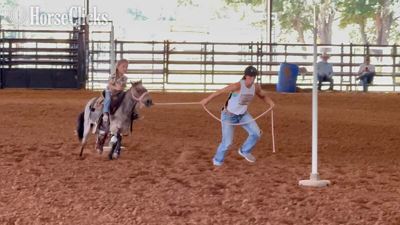 Pony - "Jelly Beans" Bay Roan Gelding Pony in Texas