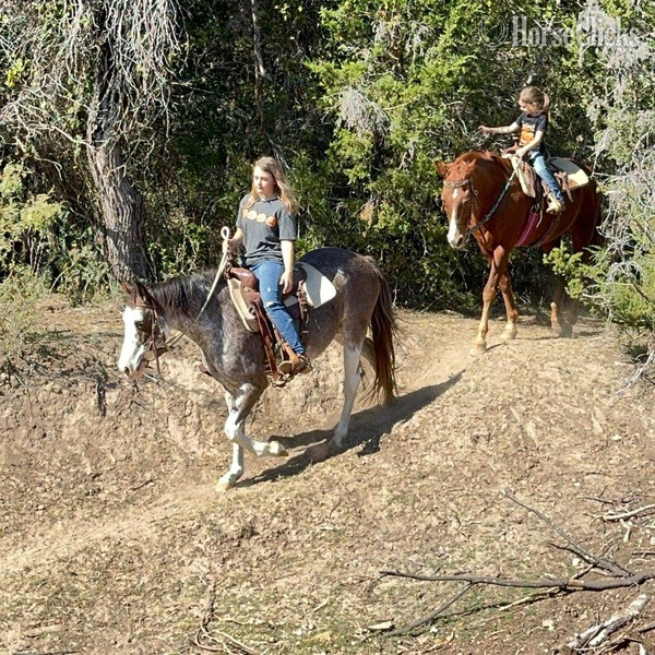 Texas "Hattie" Other Mare Paint