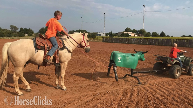 "Sporty" Palomino Gelding Quarter Horse Texas