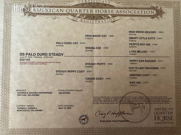 "SS Merada Smooth" Sorrel Mare Quarter Horse - Quarter Horse in Oklahoma