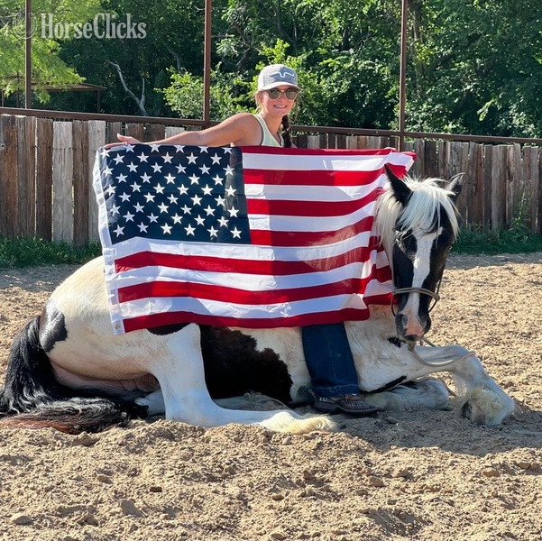 "Toker" Black Gelding Drum