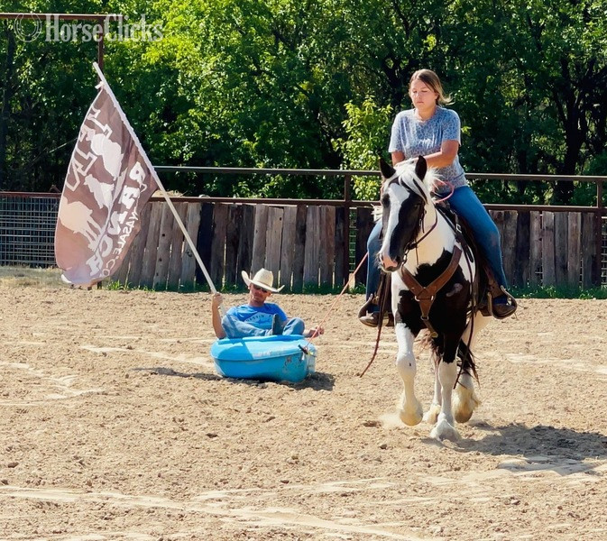 Texas "Toker" Black Gelding Drum