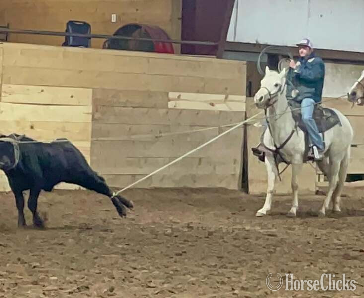 Texas "Milly" Palomino Mare Quarter Horse