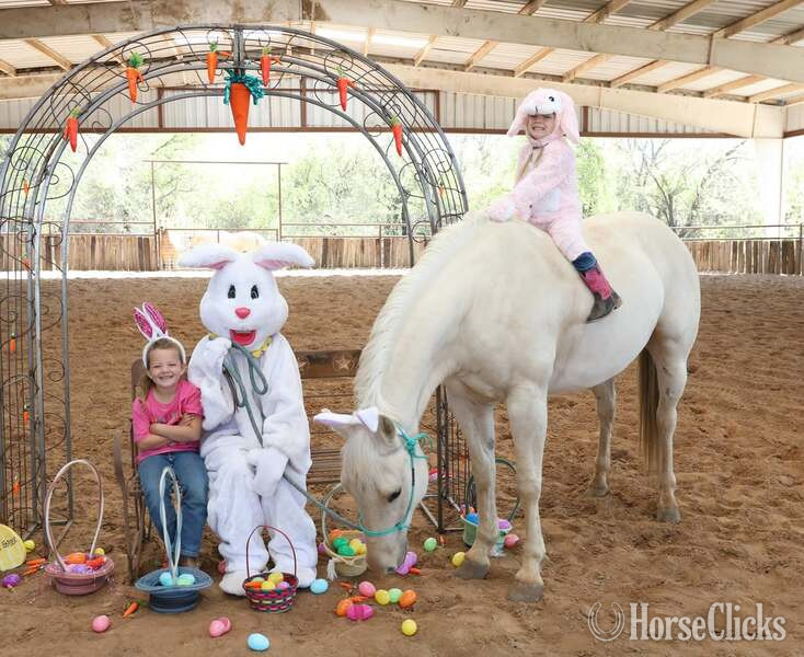 "Milly" Palomino Mare Quarter Horse - Quarter Horse in Texas
