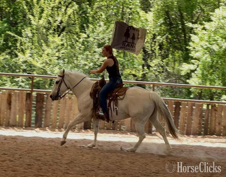 Quarter Horse - "Milly" Palomino Mare Quarter Horse in Texas