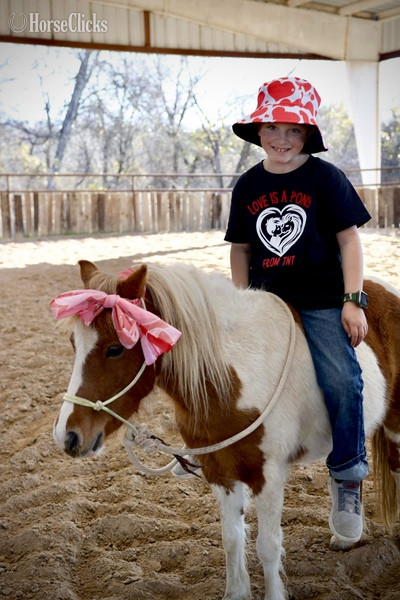 "Peaches" Sorrel Mare Pony in Texas