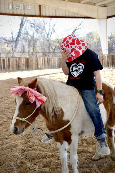 "Peaches" Sorrel Mare Pony