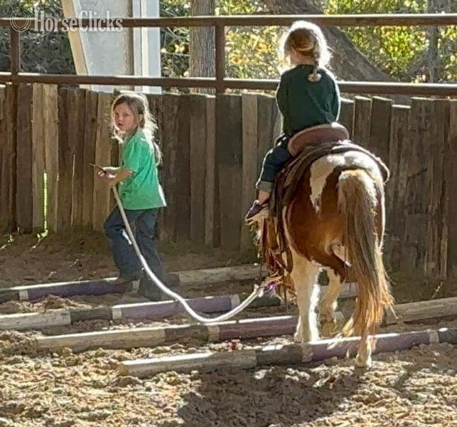 Texas "Peaches" Sorrel Mare Pony