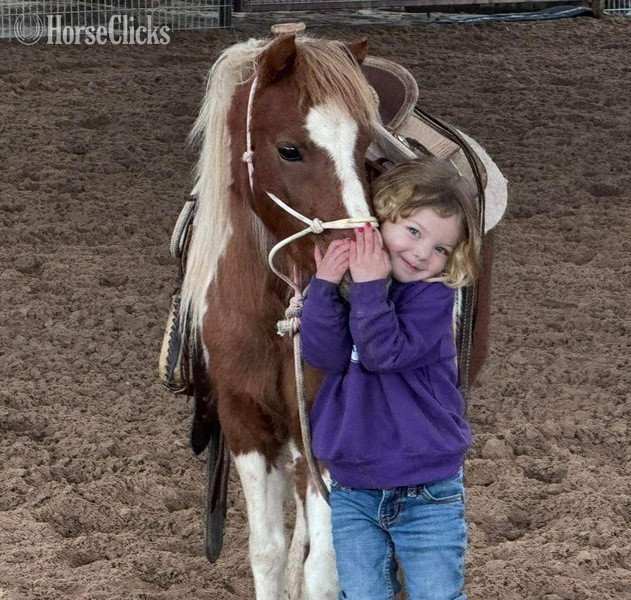 "Peaches" Sorrel Mare Pony - Pony in Texas