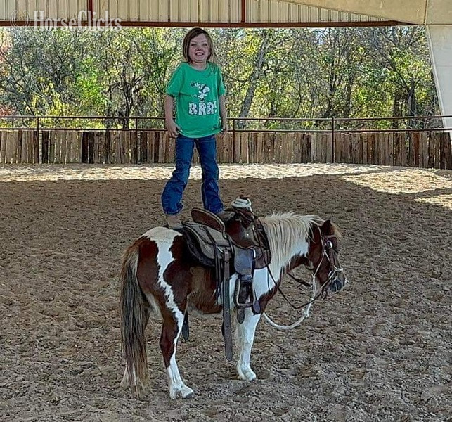 Pony - "Peaches" Sorrel Mare Pony