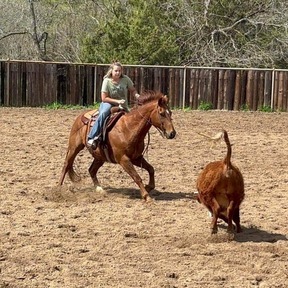 "Tony" Sorrel Gelding Quarter Horse