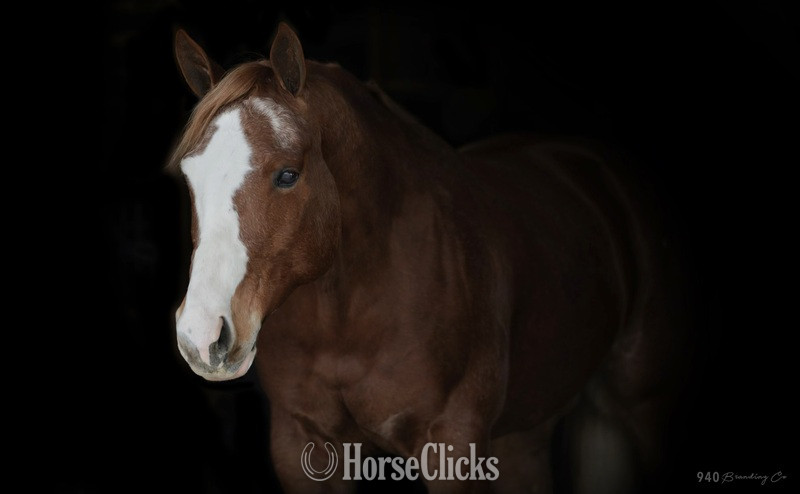 "THIS SUDS FOR YOU" Sorrel Gelding Quarter Horse in California