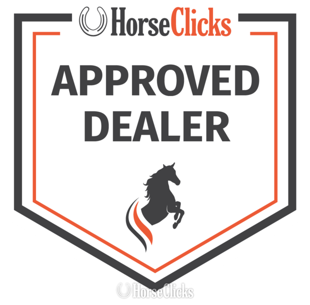 "MC STARLIGHT PATRIOT" Grey Gelding Quarter Horse