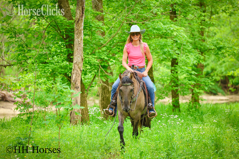 "CASH FLOW" Grullo Gelding Andalusian Kentucky