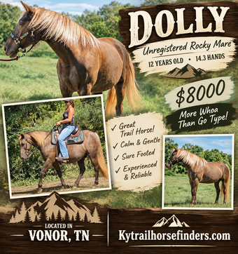 "Dolly" Chocolate Mare Kentucky Mountain
