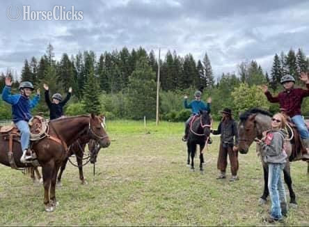 "Ranger " Black Gelding Azteca - Azteca