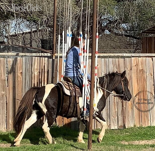 Pony - "Rosalita " Black Mare Pony