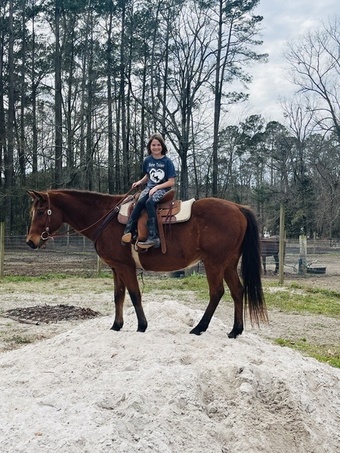 "Cherokee" Bay Gelding Quarter Horse