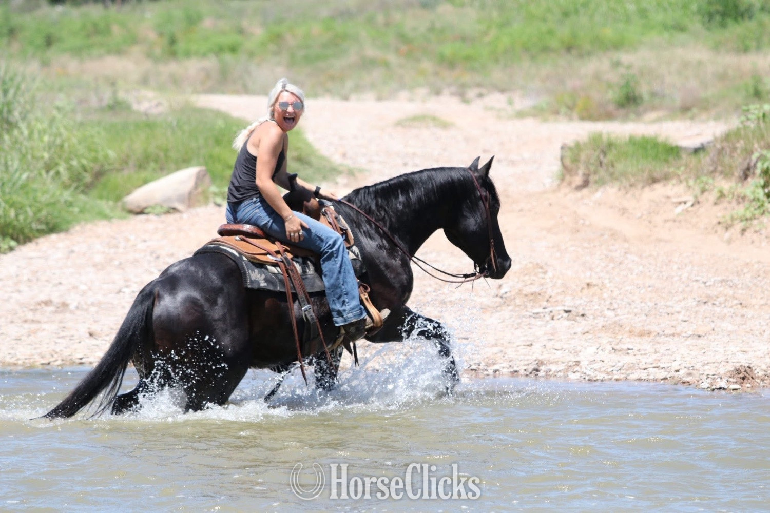 Washington "Maverick " Black Gelding Quarter Horse