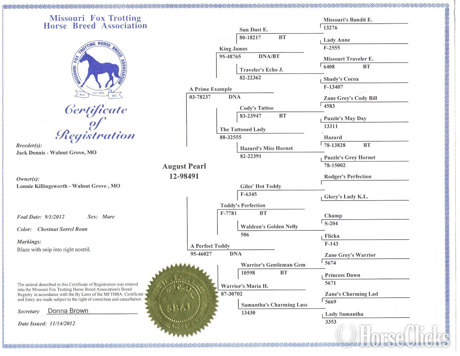 Missouri "August Pearl" Sorrel Mare Missouri Fox Trotter