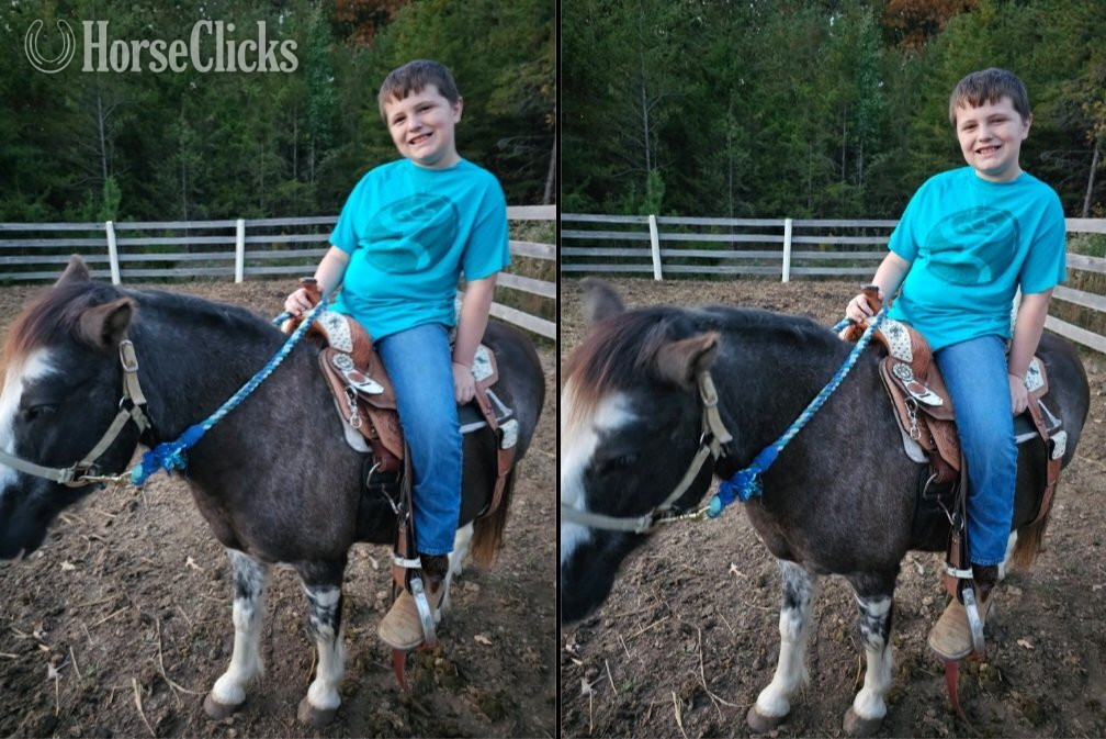 "Moose " Blue Roan Gelding Gypsy Vanner in Tennessee