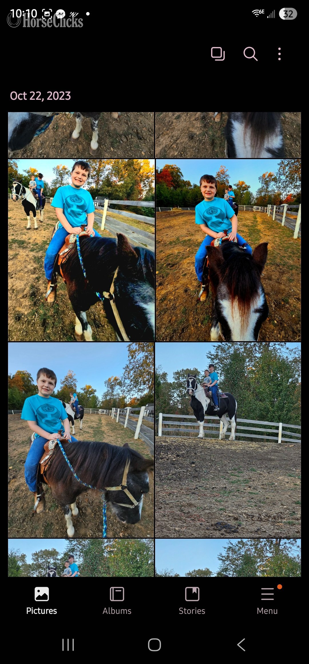 "Moose " Blue Roan Gelding Gypsy Vanner - Gypsy Vanner in Tennessee