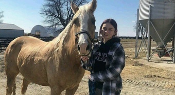 Brown 15.2hh Mare for Lease