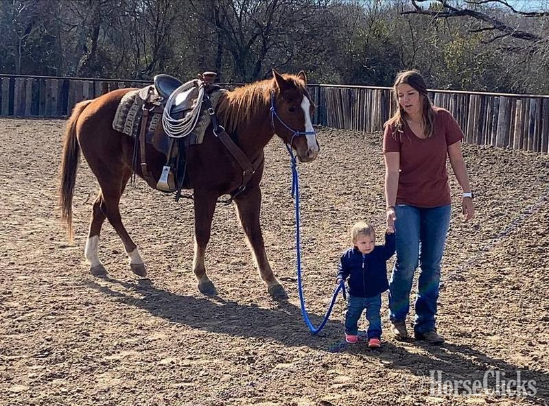 Texas "Monty" Sorrel Gelding Quarter Horse